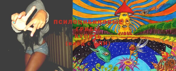 прущая мука Лагань